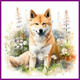 Diamond Painting Akita with Flowers 01