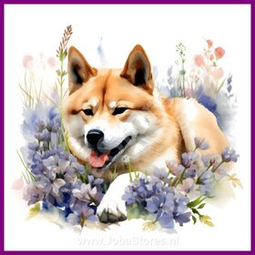 Diamond Painting Akita with Flowers 02