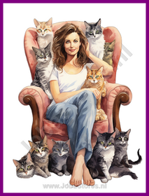 Diamond Painting Crazy Cat Lady 05
