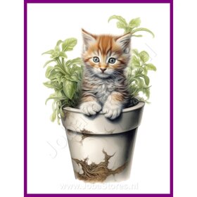 Diamond Painting Kitten in plantpot 06