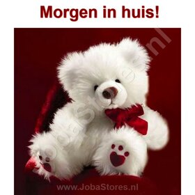 Diamond Painting White Bear 30x30cm