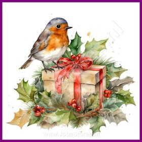 Diamond Painting Robin Christmas 03