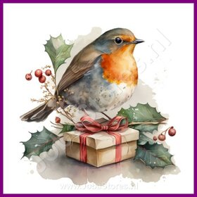 Diamond Painting Robin Christmas 06