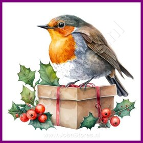 Diamond Painting Robin Christmas 07