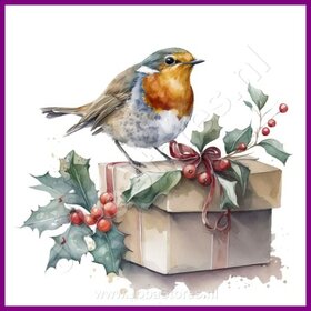 Diamond Painting Robin Christmas 09