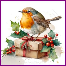 Diamond Painting Robin Christmas 10