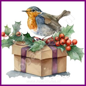 Diamond Painting Robin Christmas 11