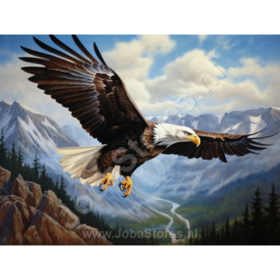 Diamond Painting Eagle 01