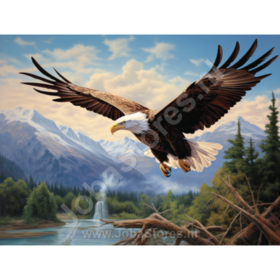 Diamond Painting Eagle 02