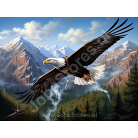 Diamond Painting Eagle 06