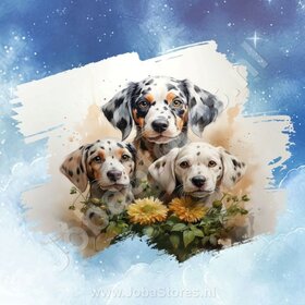 Diamond Painting Watercolor Dog - Dalmatian 01