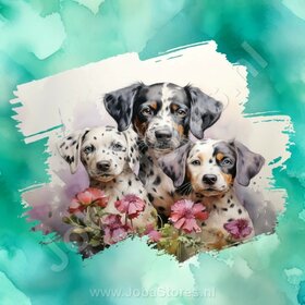 Diamond Painting Watercolor Dog - Dalmatian 02