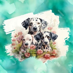 Diamond Painting Watercolor Dog - Dalmatian 04