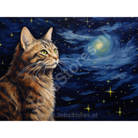 Diamond Painting Starry Night Cat 01