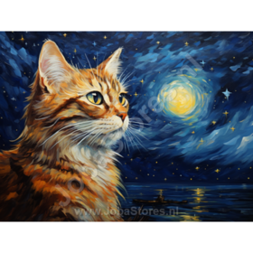 Diamond Painting Starry Night Cat 02