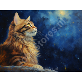 Diamond Painting Starry Night Cat 03