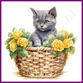 Diamond Painting Kitten in mand 12