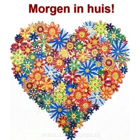 Special Diamond Painting Heart 25x25cm