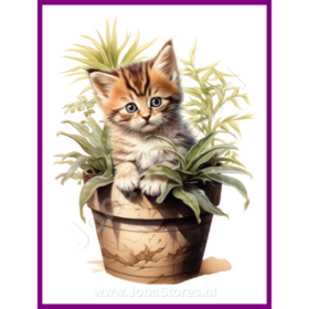 Diamond Painting Kitten in plantpot 16