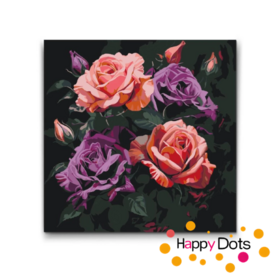 Schilderen op nummer Vier rozen 50x50cm (HappyDots)