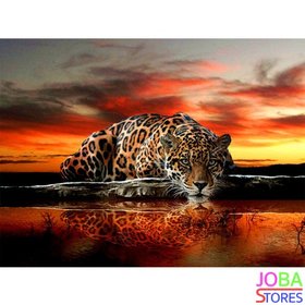 Diamond Painting Luipaard 40x50cm