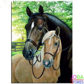 Diamond Painting Paarden 30x40cm