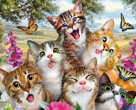 Diamond Painting Gekke Katjes 30x40cm