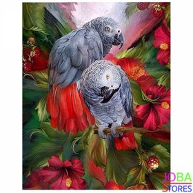 Diamond Painting Grijze Roodstaart Papegaai 30x40cm