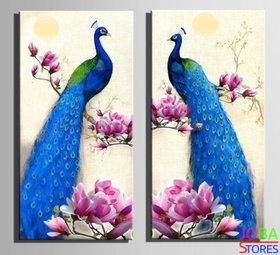 Diamond Painting Pauwen 40x40cm