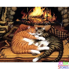 Schilderen op nummer Katten bij haard 40x50cm