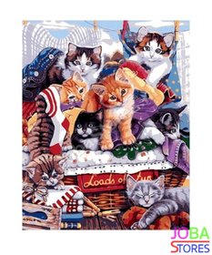 Schilderen op nummer Kittens 40x50cm
