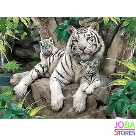 Painting by number White Tiger Family 40x50cm