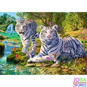 Diamond Painting Witte Tijgers 40x30cm