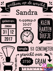 Custom Canvas Print Geboortebord Roze