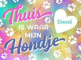 Diamond Painting Custom Hondje Regenboog (30x40cm)