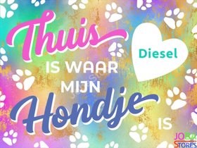Diamond Painting Custom Hondje Regenboog (Groot Formaat)