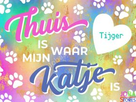 Diamond Painting Custom Katje Regenboog (30x40cm)