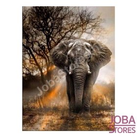Diamond Painting Olifant in schemer 30x40cm
