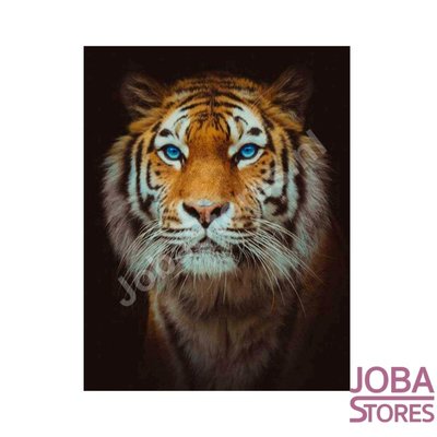 Diamond Painting Tiger 40x50cm Round (on frame)