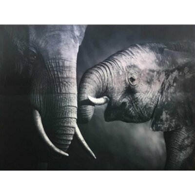 Diamond Painting Elephant 02 (size and shape of stones of your choice)