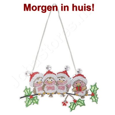 Diamond Painting Hanging Christmas Ornament birds with Santa hat (22cm)