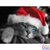 Diamond Painting Kerst Kat 40x30cm