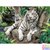 Painting by number White Tiger Family 40x50cm