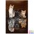 Diamond Painting Kittens-Big Cats 30x40cm
