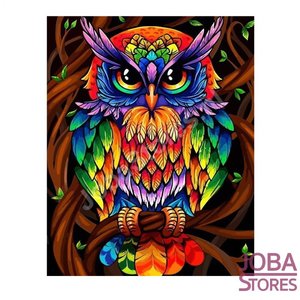 Schilderen op nummer Gekleurde Uil 40x50cm
