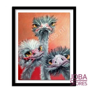 Diamond Painting Drie Struisvogels 30x40cm