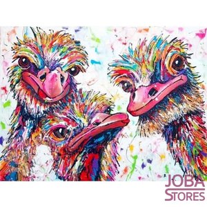Diamond Painting Gekleurde Struisvogels 30x40cm