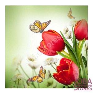 Diamond Painting Tulpen 20x20cm