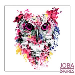 Diamond Painting Gekleurde Uil 20x20cm