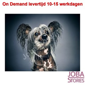 On Demand Diamond Painting 0036